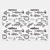 Niedliche Zeichnungen von Regenbogenfischen und Me Geschenkpapier Set (Vorderseite)