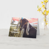 Niedliche Ziege Langohren Foto Beileid Karte (Gelbe Blume)