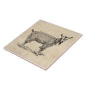 Niedliche Ziege mit Bell Illustration Antiquitäten Fliese (Seite)