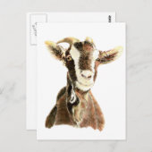Niedliche Ziege, Tier, Landtiere Postkarte (Vorne/Hinten)