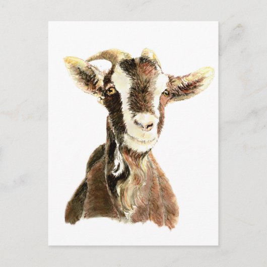 Niedliche Ziege, Tier, Landtiere Postkarte (Vorderseite)