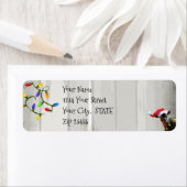 Niedliche Ziege und Weihnachtsbeleuchtung (Insitu)