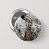 NIEDLICHE ZIEGEN BUTTON (Vorne & Hinten)