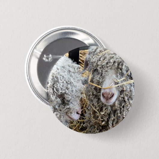 NIEDLICHE ZIEGEN BUTTON (Vorne & Hinten)