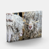 NIEDLICHE ZIEGEN FOTOBLOCK (Links)