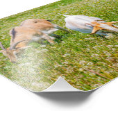 Niedliche Ziegen Fotodruck (Ecke)