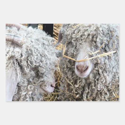 NIEDLICHE ZIEGEN GESCHENKPAPIER SET (Vorderseite)