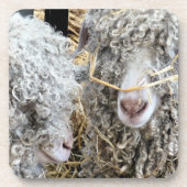 NIEDLICHE ZIEGEN GETRÄNKEUNTERSETZER (Vorderseite)