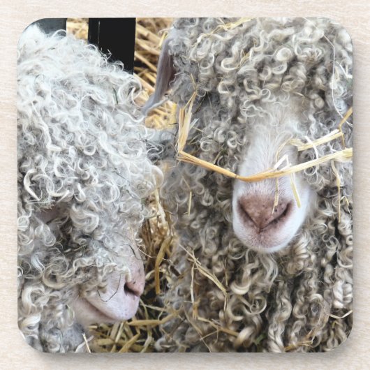 NIEDLICHE ZIEGEN GETRÄNKEUNTERSETZER (Vorderseite)