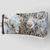 NIEDLICHE ZIEGEN GOLF HEADCOVER (Vorderseite)