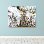 NIEDLICHE ZIEGEN LEINWANDDRUCK (Insitu (Holzboden))