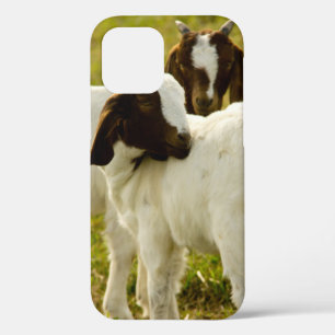 Niedliche Ziegen schimpfen Landtiere Case-Mate iPhone Hülle