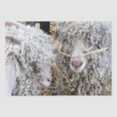 NIEDLICHE ZIEGEN SEIDENPAPIER (Vorderseite)