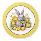 Niedliche Zitronenbussen Küche Keramikknauf (Vorderseite)