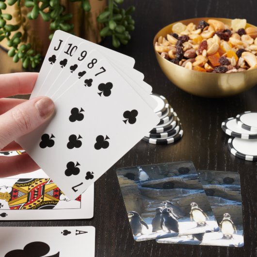 Niedliche Zoo penquins Spielkarten (In Situ)