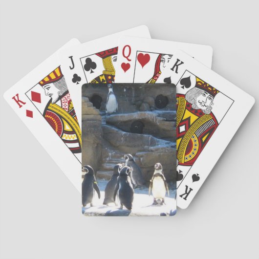 Niedliche Zoo penquins Spielkarten (Rückseite)