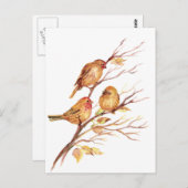 Niedliche Zwerggvögel Postkarte (Vorne/Hinten)