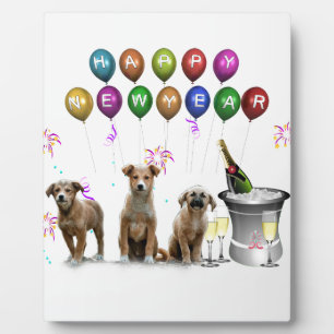 Niedlichen drei Hunde wünschen viel Glück im neuen Fotoplatte