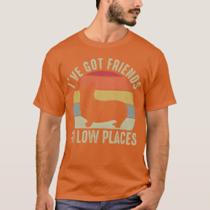 Niedlichen Ich Got Freunde in Low Places Corgi Dog T-Shirt