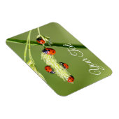 Niedlichen kleine Ladybugs gewähren viel Glück und Magnet (Rechte Seite)
