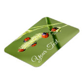 Niedlichen kleine Ladybugs gewähren viel Glück und Magnet (Linke Seite)