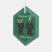 Niedlichen Weihnachtsbeleuchtung für zwei Katzen P Ornament Aus Glas (Vorderseite Links)