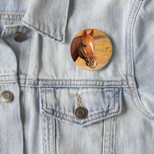 NIEDLICHER 2-Zentimeter-RUNDSCHALTER Button (Beispiel)