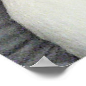 Niedlicher Adorable White Puppy Hund mit grünem Sc Poster (Ecke)