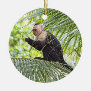 Niedlicher Affe auf einer Palme Keramikornament