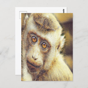 Niedlicher Affe Postkarte