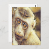 Niedlicher Affe Postkarte (Vorne/Hinten)