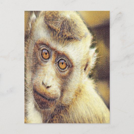 Niedlicher Affe Postkarte (Vorderseite)