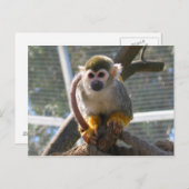 Niedlicher Affe Postkarte (Vorne/Hinten)