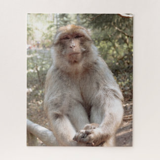Niedlicher Affe Puzzle