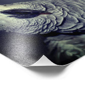 Niedlicher Afrikanischer Papagei 8x10 Fotodruck (Ecke)