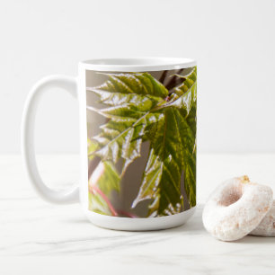 Niedlicher Ahornzweig mit kleinen Blätter Kaffeetasse
