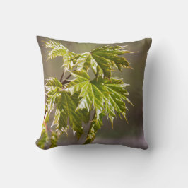 Niedlicher Ahornzweig mit kleinen Blätter Kissen