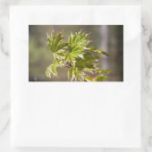 Niedlicher Ahornzweig mit kleinen Blätter Rechteckiger Aufkleber (Tasche)