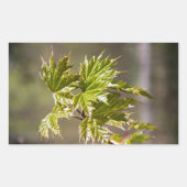 Niedlicher Ahornzweig mit kleinen Blätter Rechteckiger Aufkleber (Vorderseite)