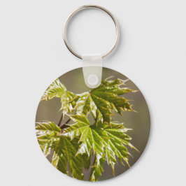 Niedlicher Ahornzweig mit kleinen Blätter Schlüsse Schlüsselanhänger