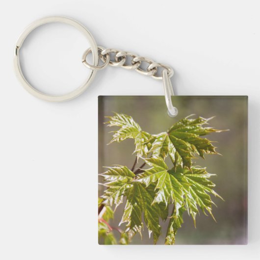 Niedlicher Ahornzweig mit kleinen Blätter Schlüsselanhänger (Vorderseite)