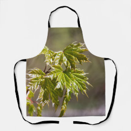Niedlicher Ahornzweig mit kleinen Blätter Schürze