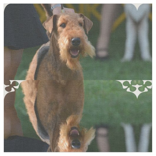 Niedlicher Airedale-Terrier Stoff (Nahaufnahme)