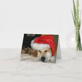 Niedlicher Akita-Hunderote Weihnachtsmannmütze mit Feiertagskarte