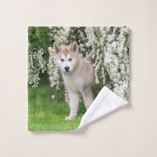 Niedlicher Alaskan Malamute Dog Welpe in Blume Fot Badhandtuch Set (Waschlappen)