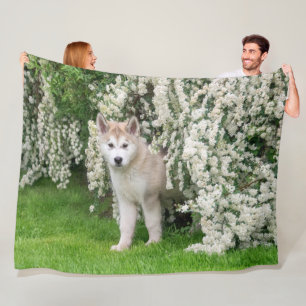 Niedlicher Alaskan Malamute Dog Welpe in Blume Fot Fleecedecke