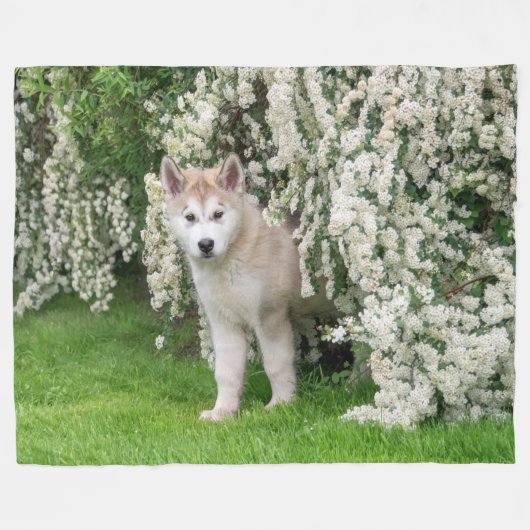 Niedlicher Alaskan Malamute Dog Welpe in Blume Fot Fleecedecke (Vorderseite (Horizontal))