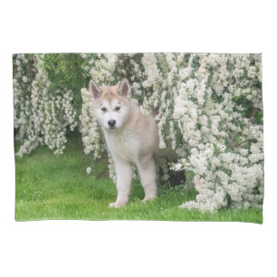 Niedlicher Alaskan Malamute Dog Welpe in Blume Fot Kissenbezug