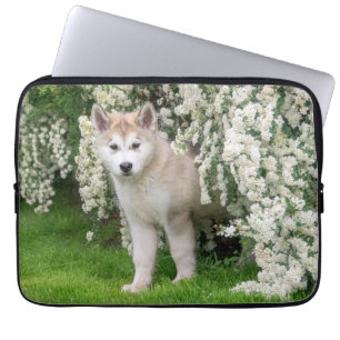 Niedlicher Alaskan Malamute Dog Welpe in Blume Fot Laptopschutzhülle