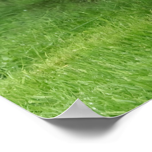 Niedlicher Alaskan Malamute Dog Welpe in Blume Fot Poster (Ecke)